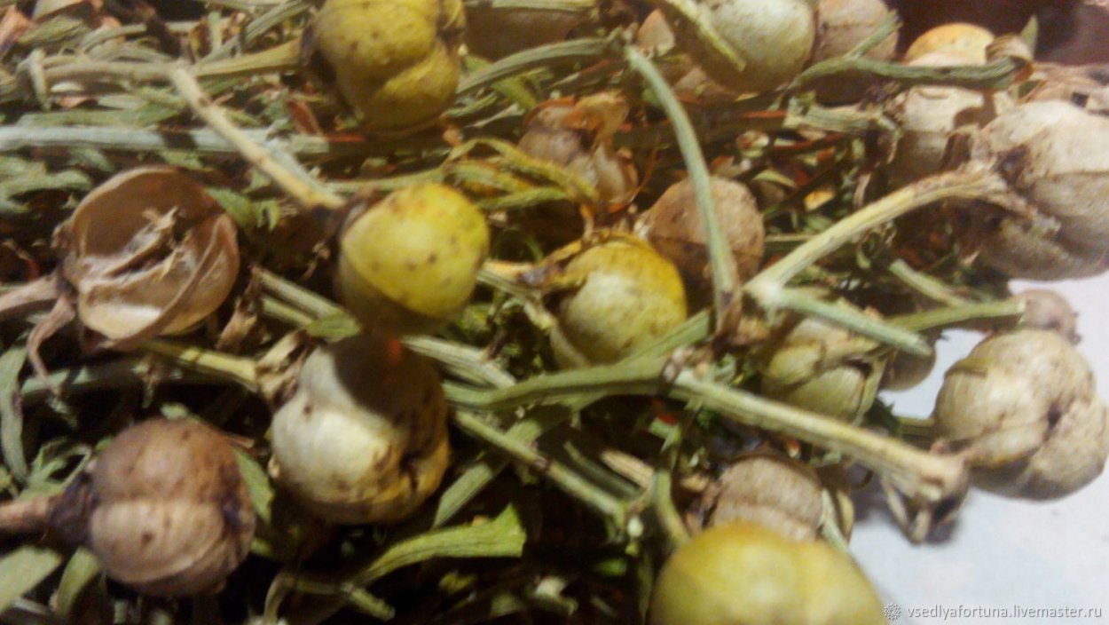 Искусственный газон на могилу