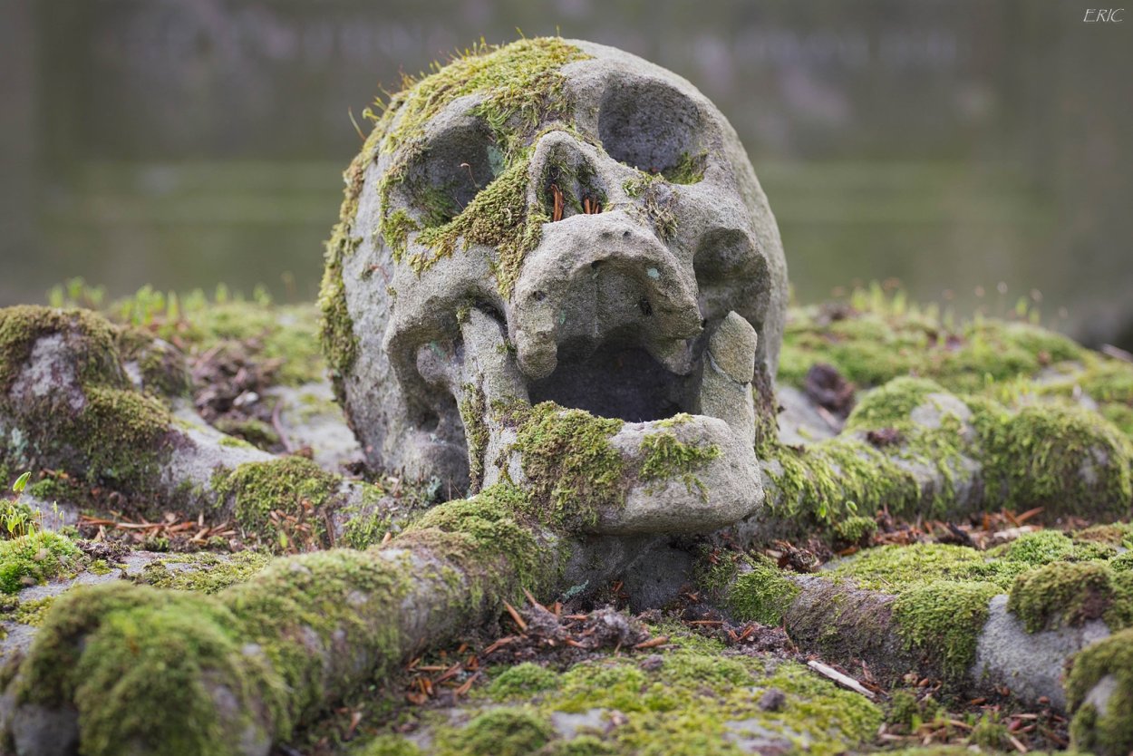 Статуи замшелые Скандинавия