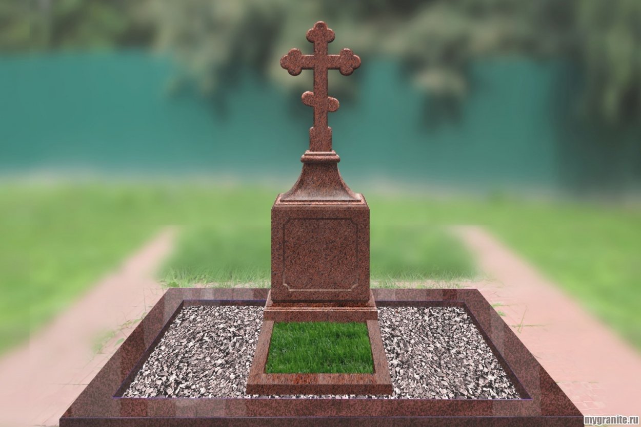 Молодило Кассиопея