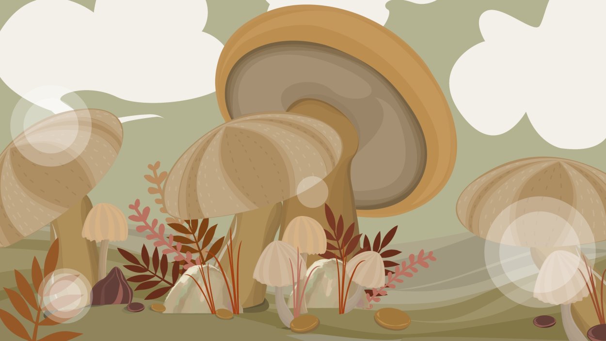 Дары осени грибы ягоды