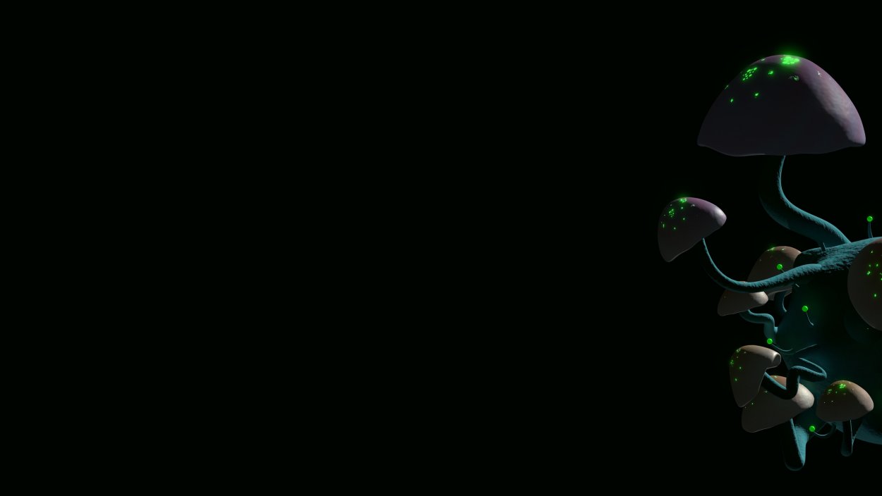 Грибы макро