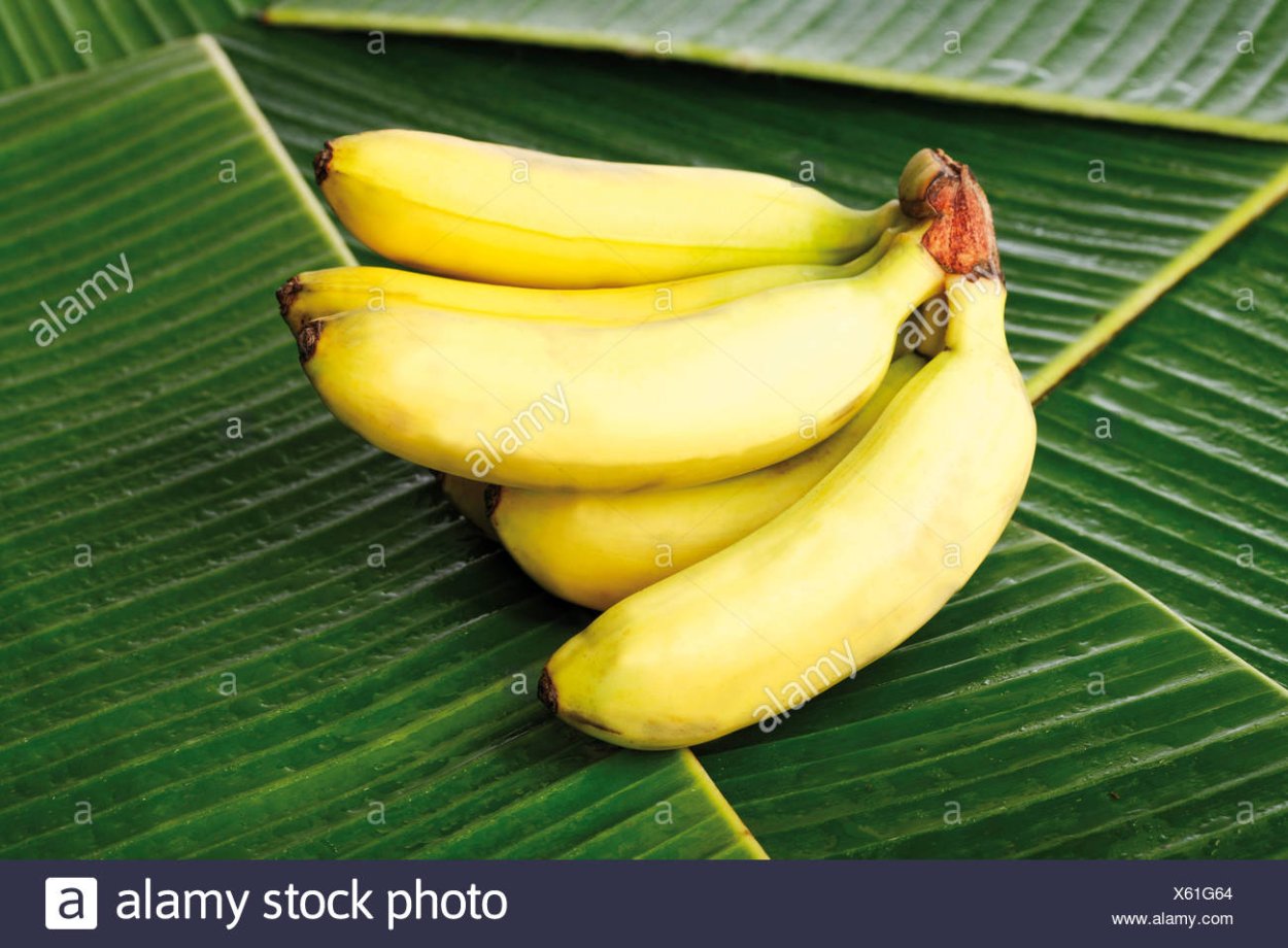 Африканские бананы