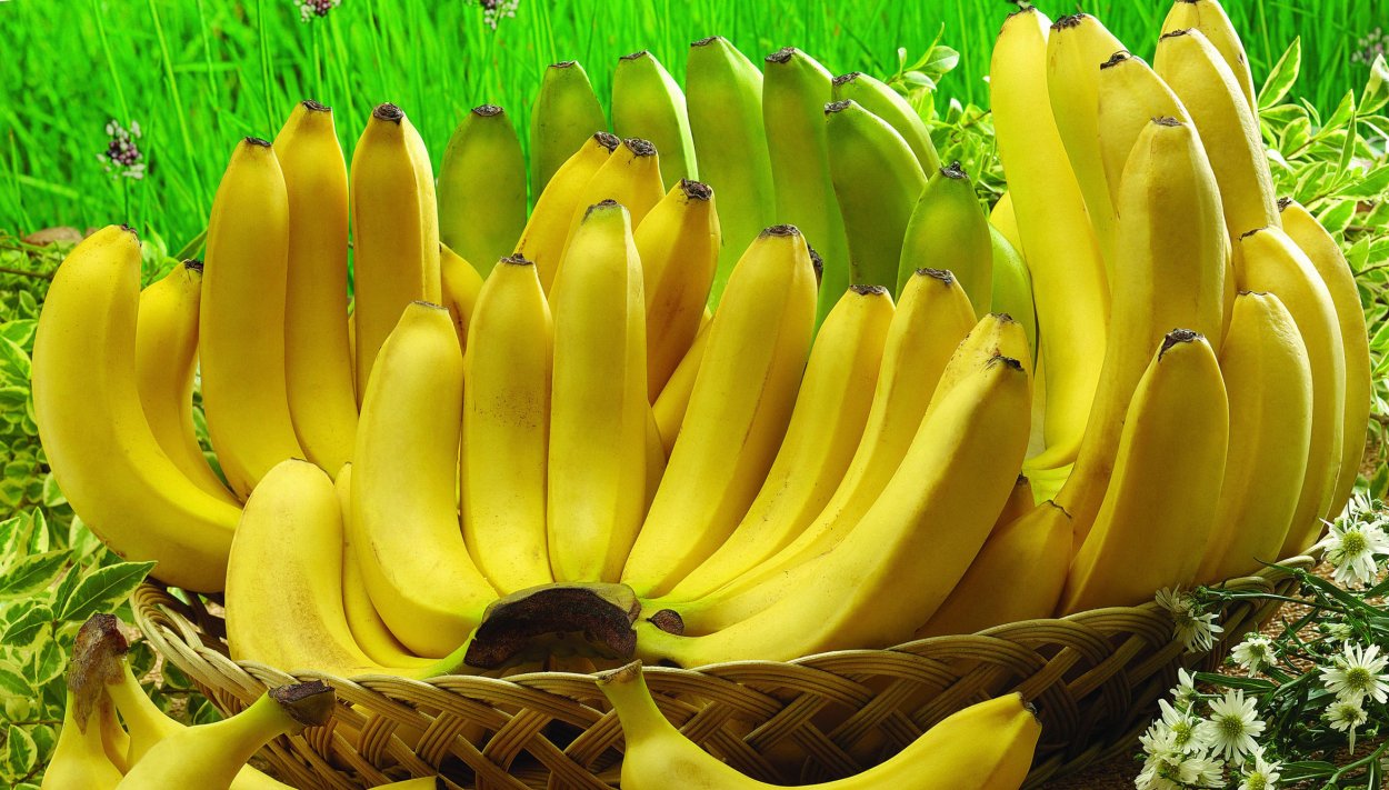 Банановая Пальма листья