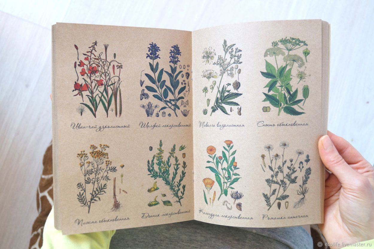 Рисунки из пинтереста