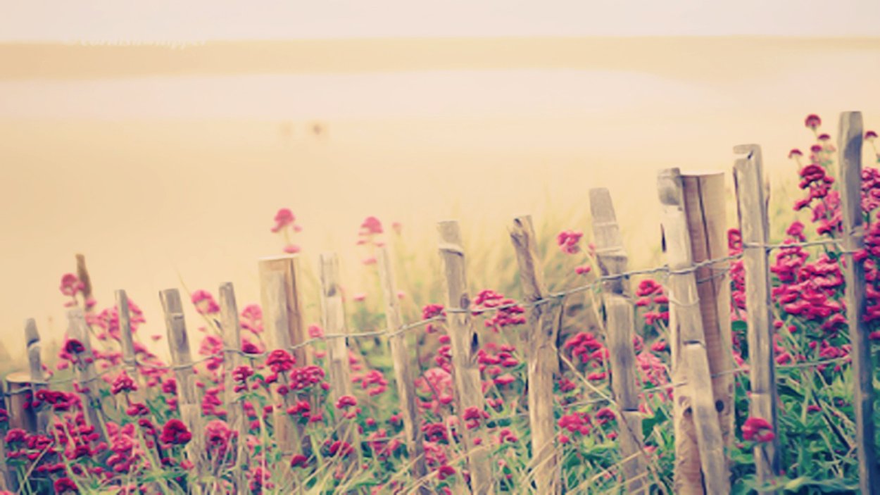 Травник тетрадь