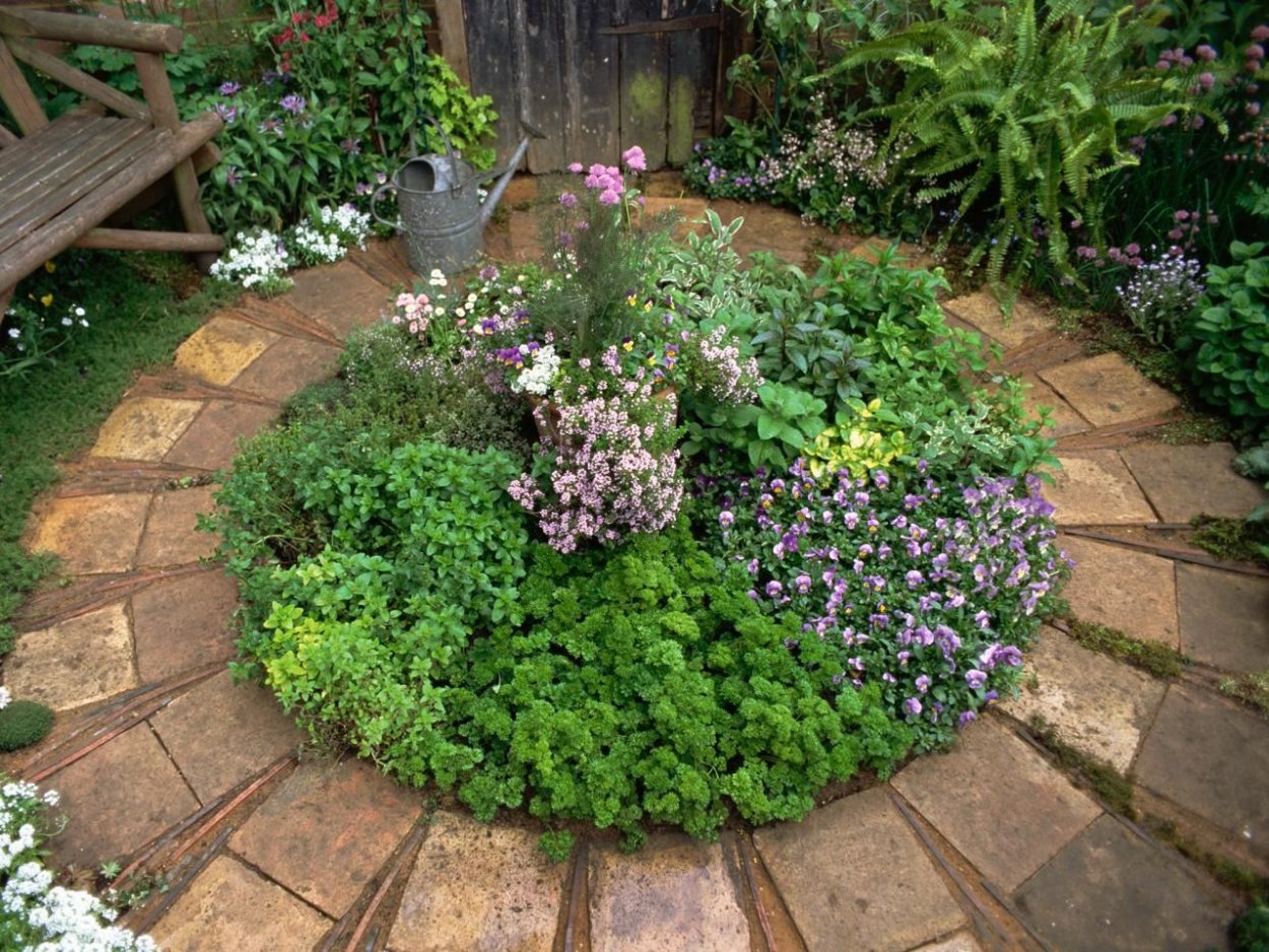 Дорожки в саду пряных трав