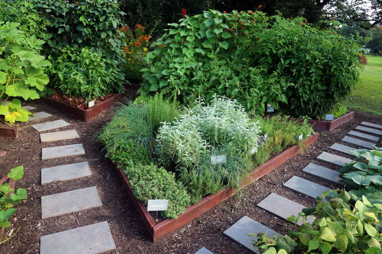 Цветник пряных трав:Лаванда, шалфей, чабрец