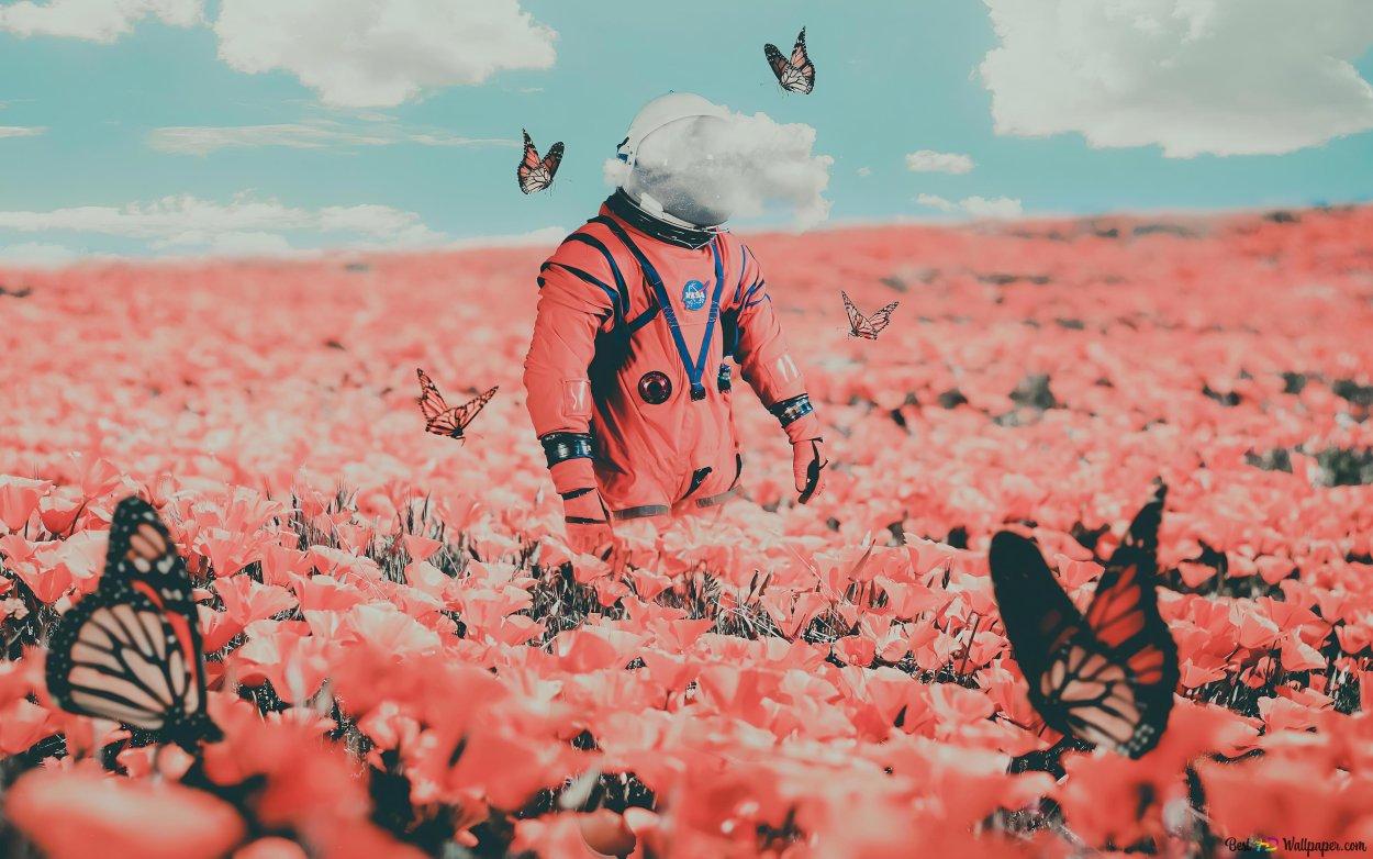 Розовый цвет в природе