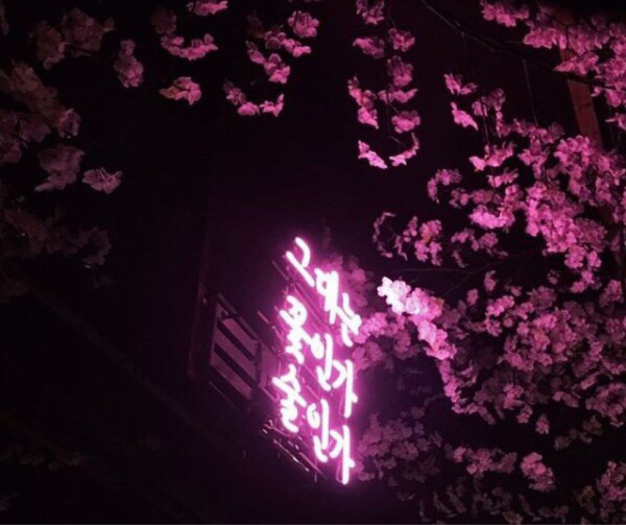 Розовая Эстетика Япония