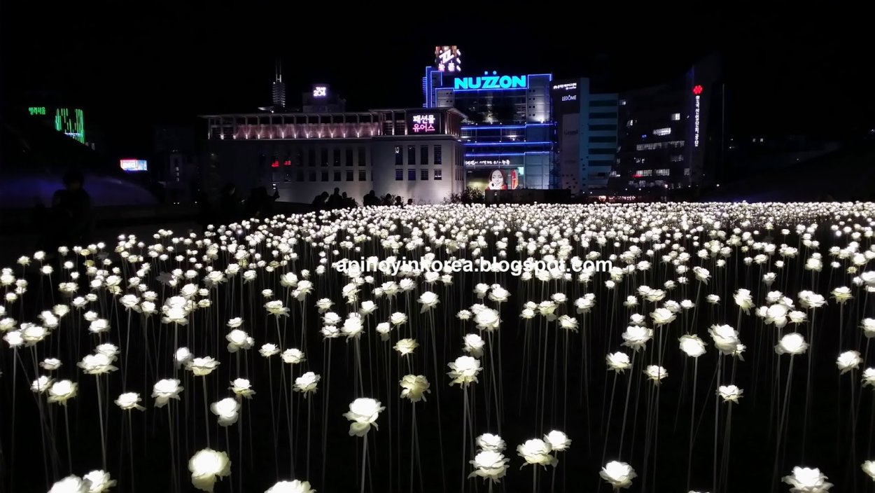 Эстетические цветы