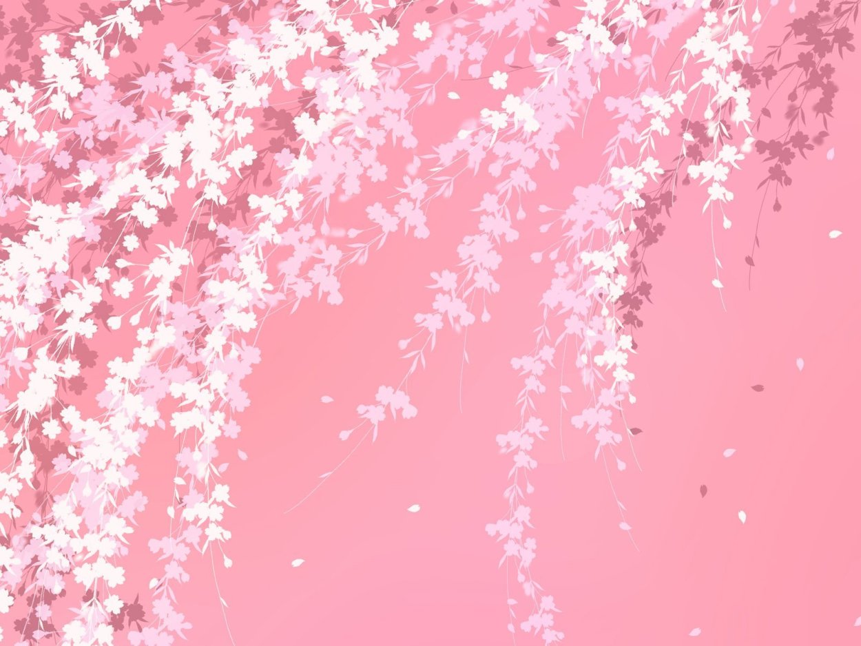 Япония Сакура