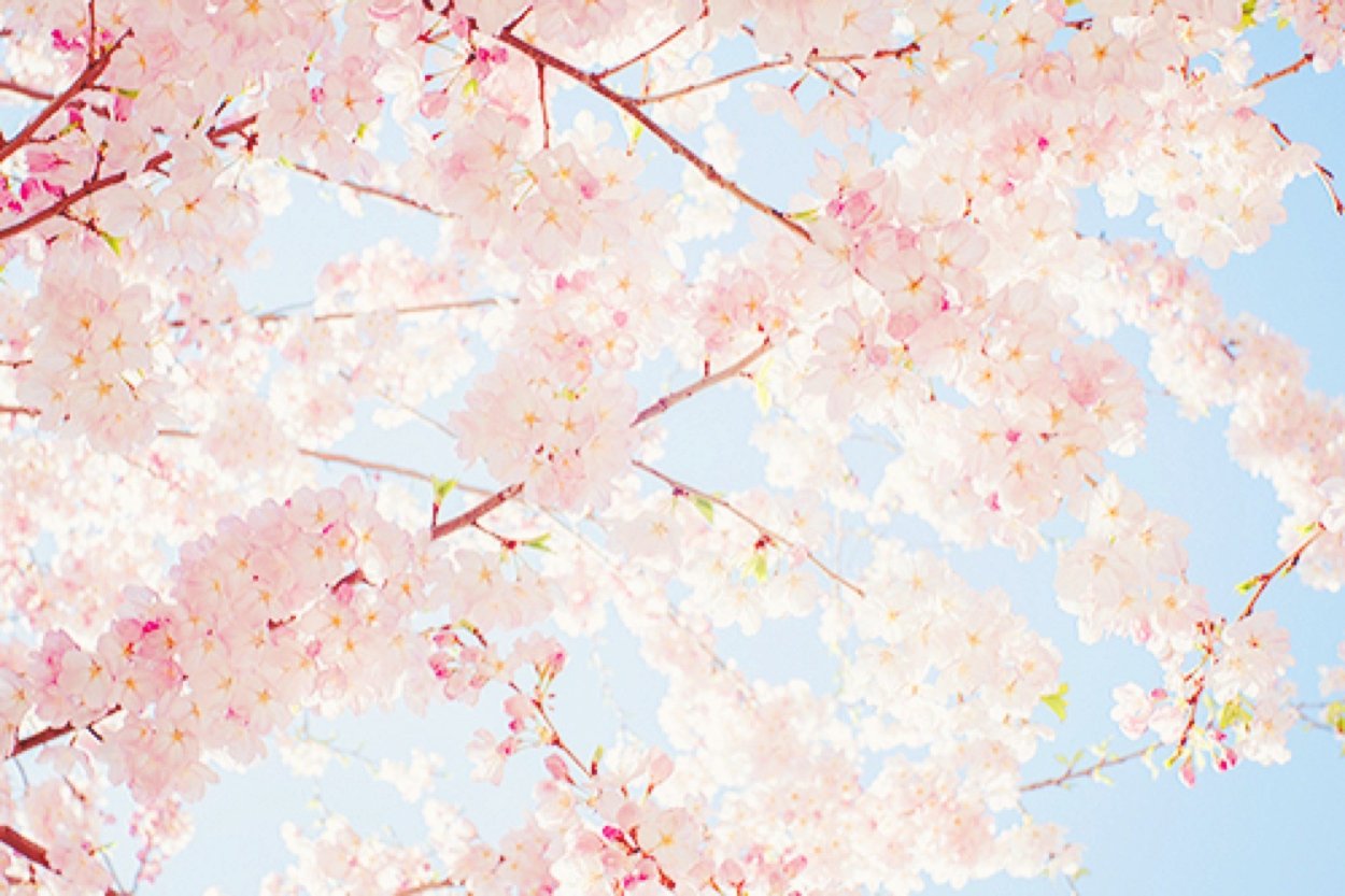 Фон в японском стиле