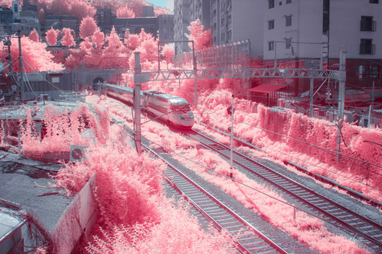 Сакура Широ Фуген