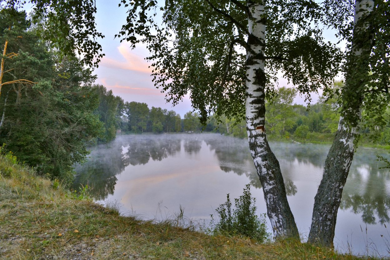 Березовая роща Селигер