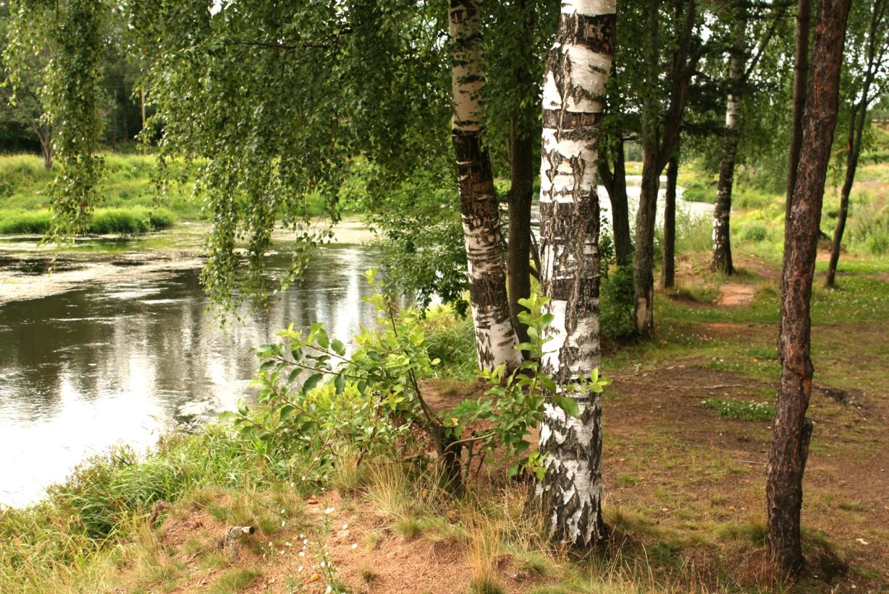 Россия Родина моя природа