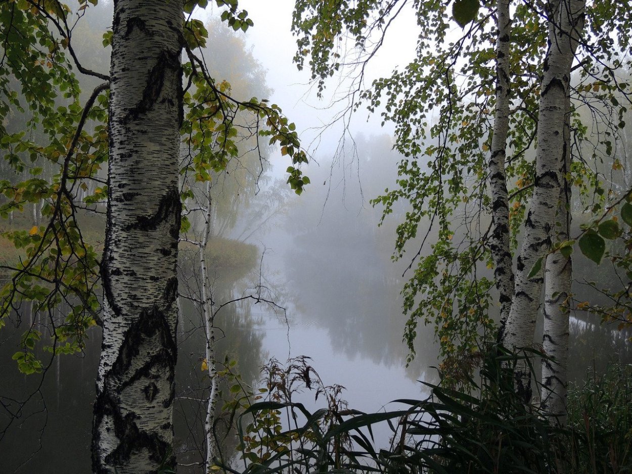 Русь река береза храм