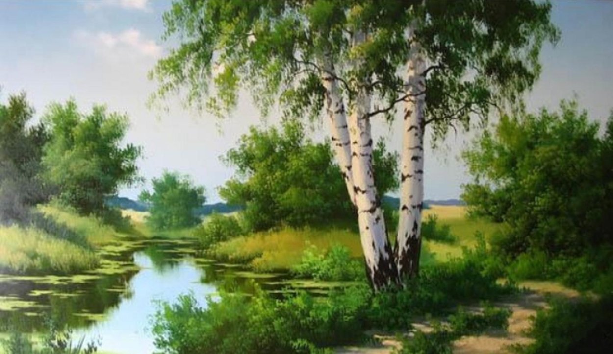 Изогнутая береза на берегу