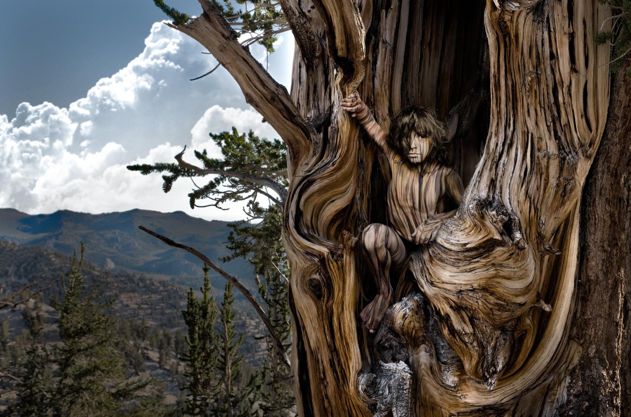 Эволюционное Древо Дарвина