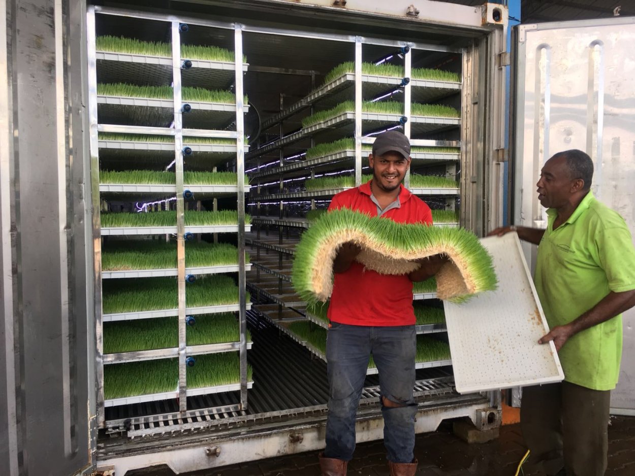 Кормовая система гидропонная