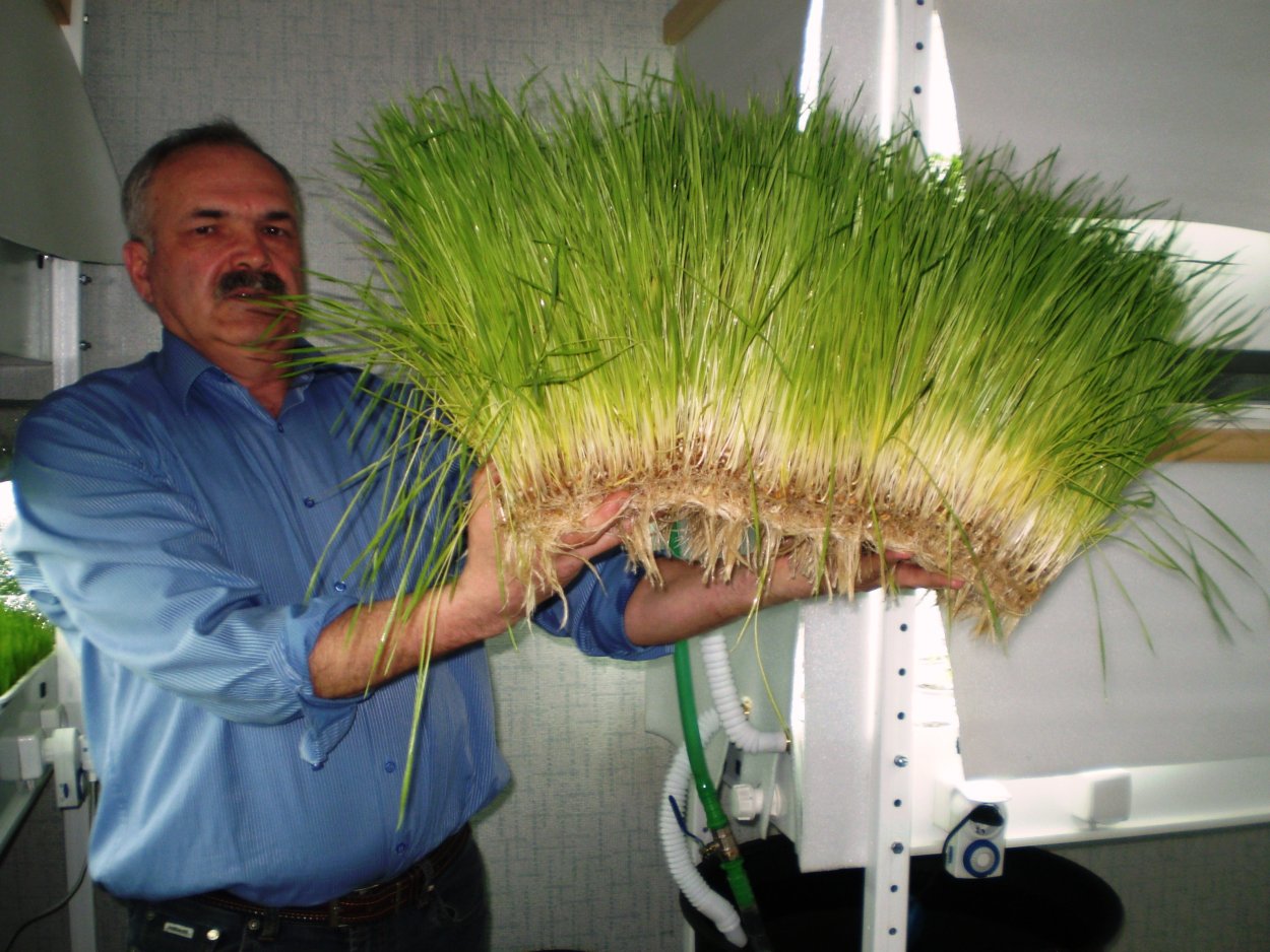 Гидропонный зеленый корм «Грин Хилс»