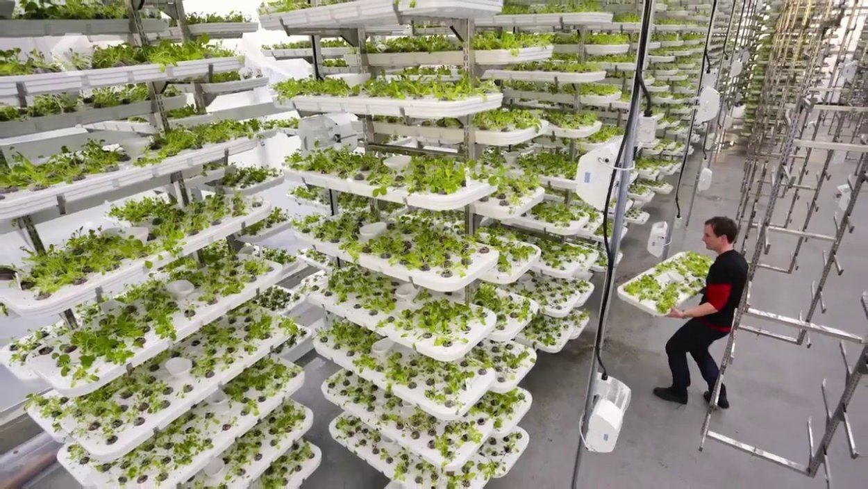 Ферма Аквапоника