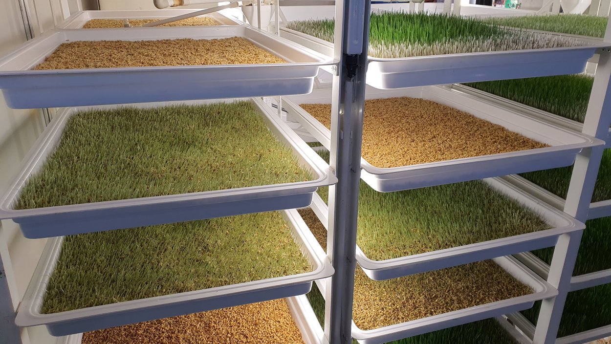 Гидропоника фасад