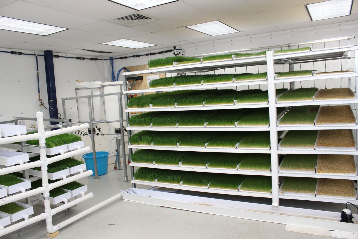 Горшки для гидропонных систем АЛИЭКСПРЕСС