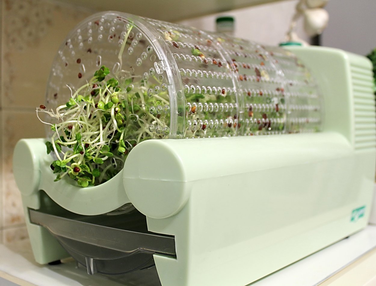 Mirai Corp в Японии вертикальная ферма