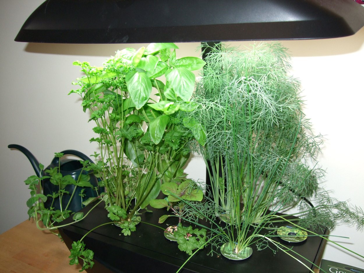 Вертикальные грядки для зелени