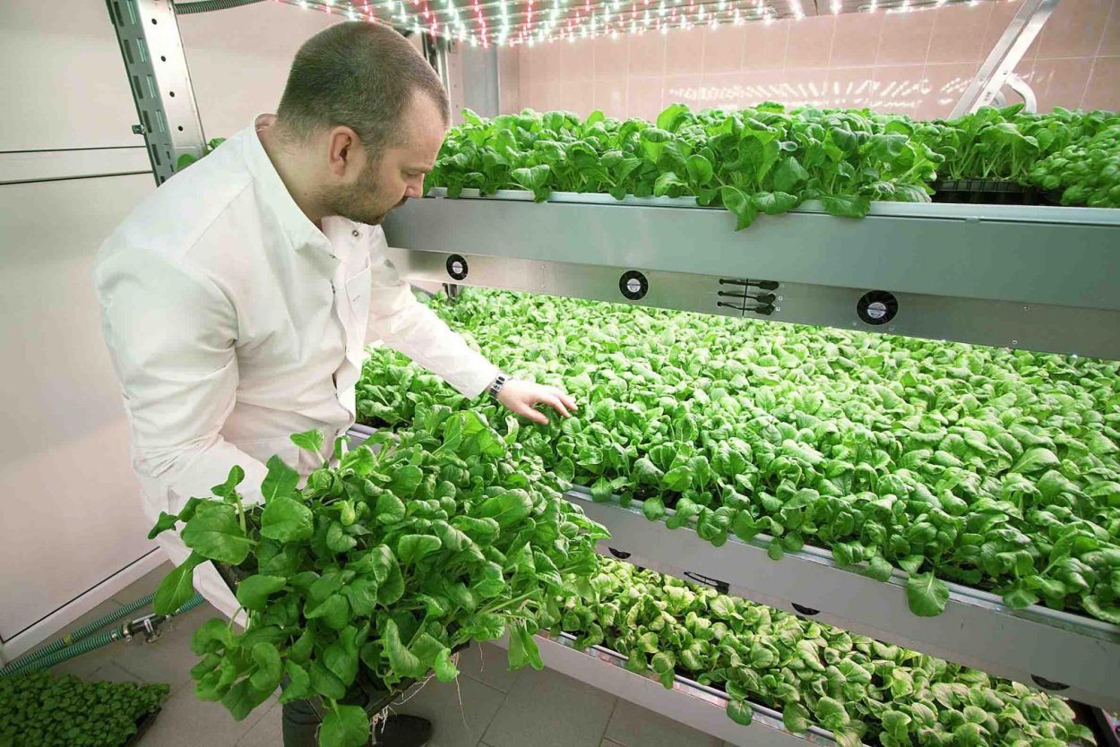 Аэропоника вертикальные фермы