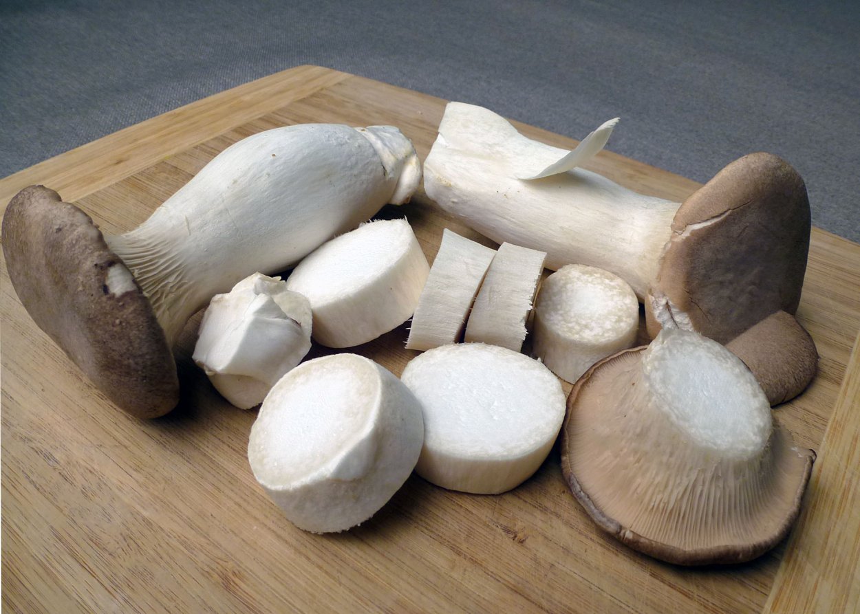 Еринги Королевская вешенка