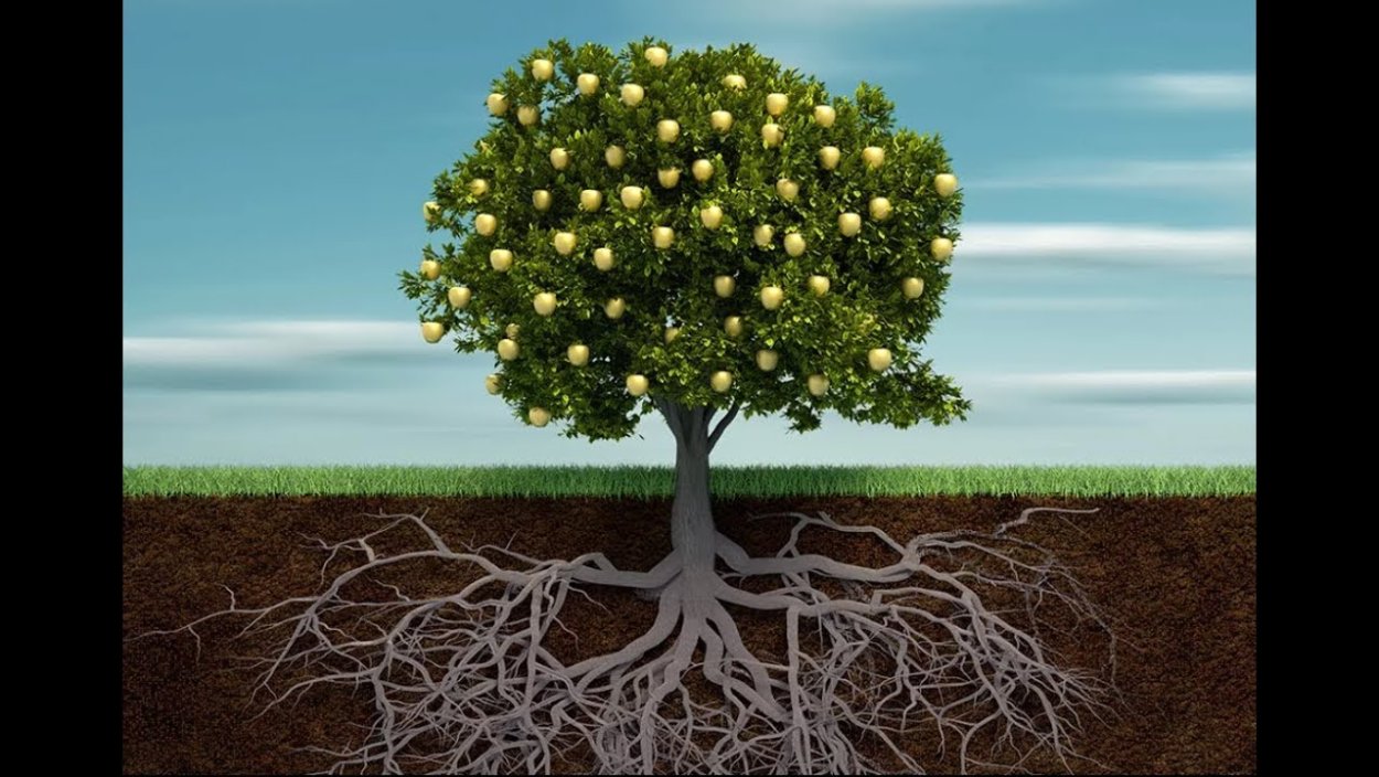 Дерево черно белое