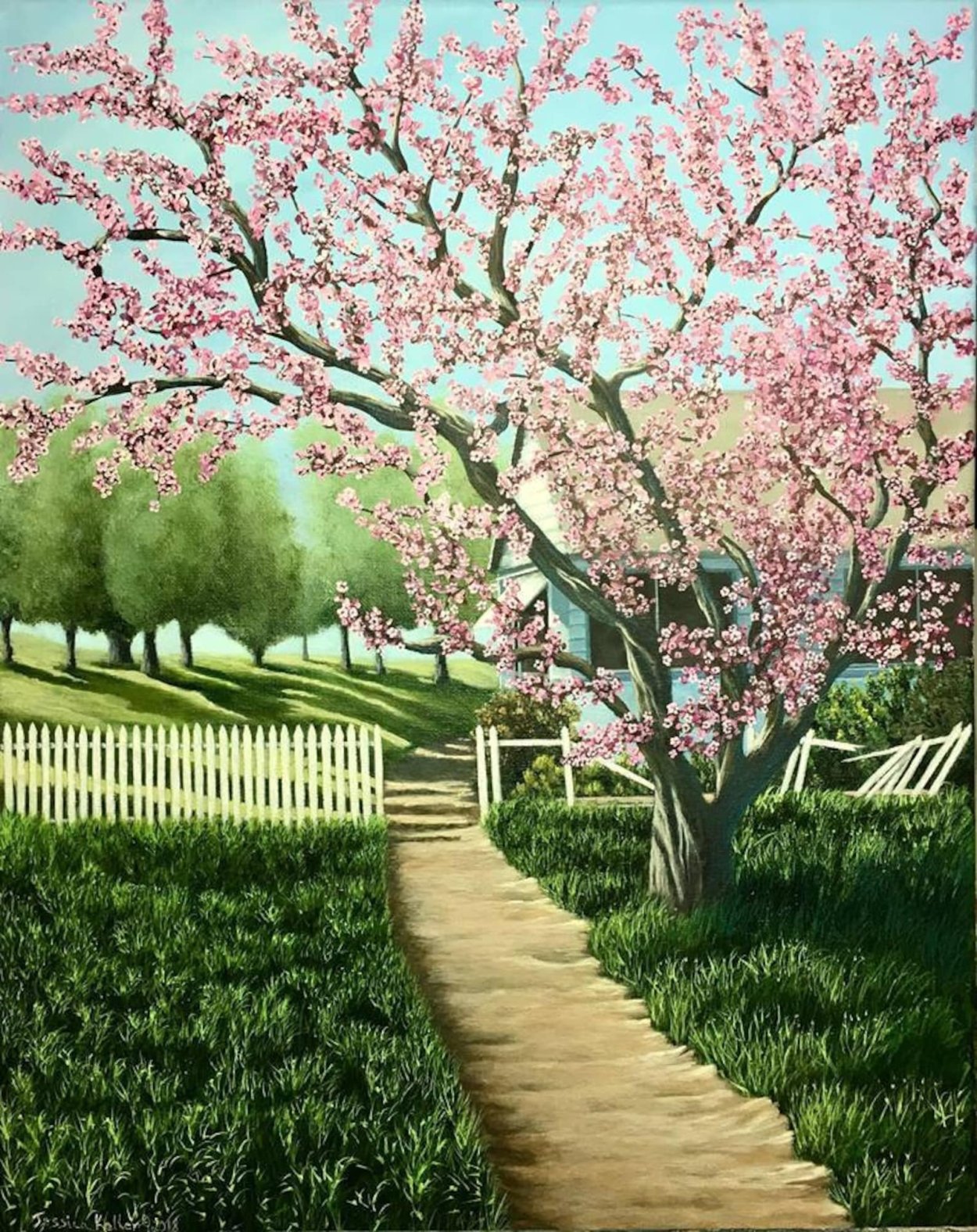 Персиковое дерево картина