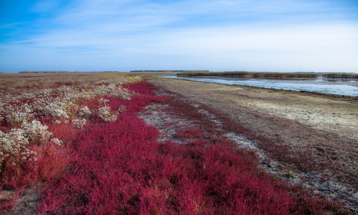 Соленое озеро БАРСАКЕЛЬМЕС