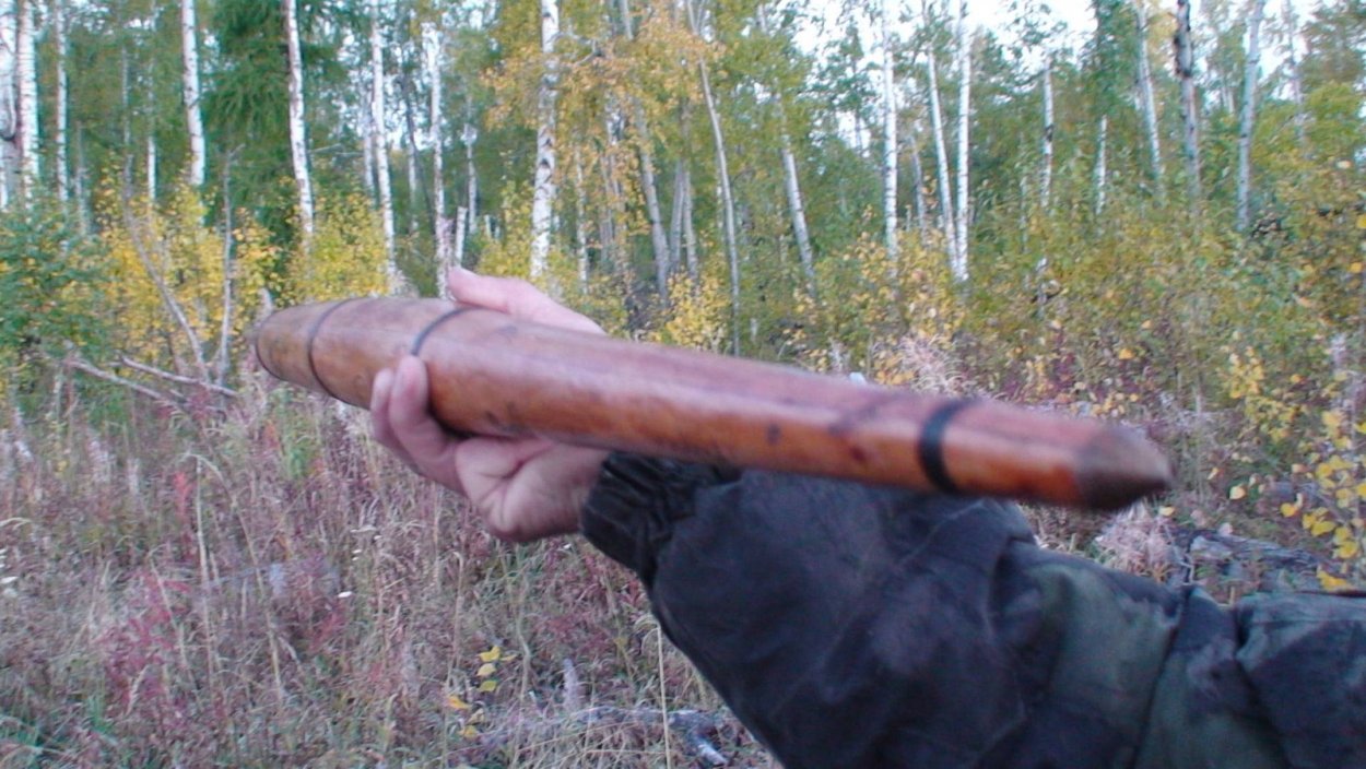 Астрахань полупустыня