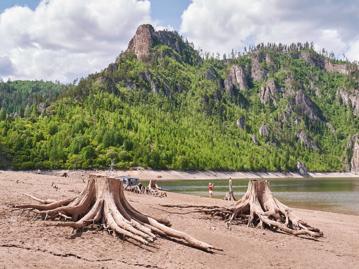 Бухта Песчаная Байкал ходульные деревья