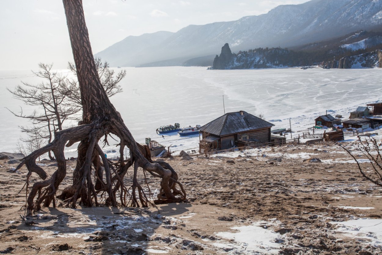 Зимний лес на Байкале