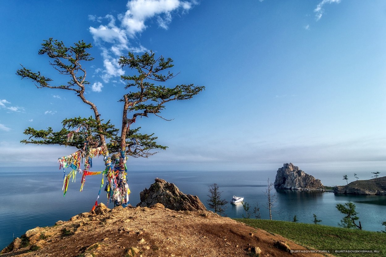 Байкал дерево желаний