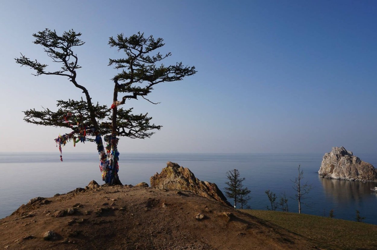 Сосновый Бор Ольхон