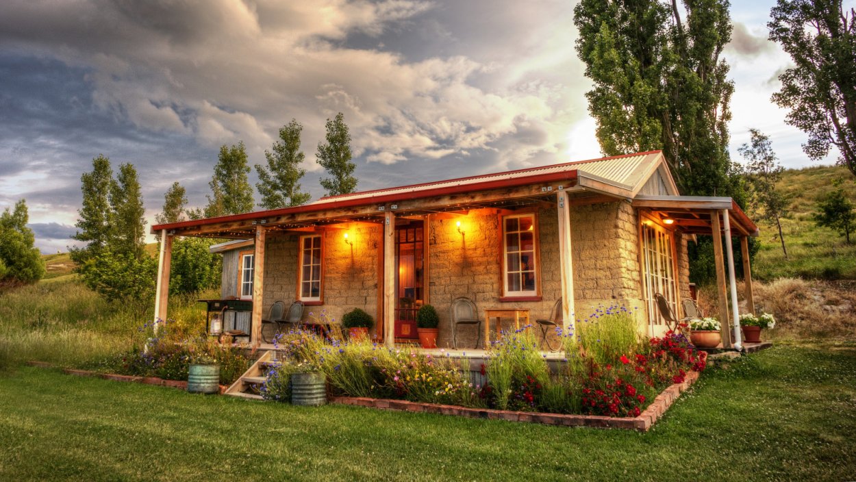 Солонечник точечный