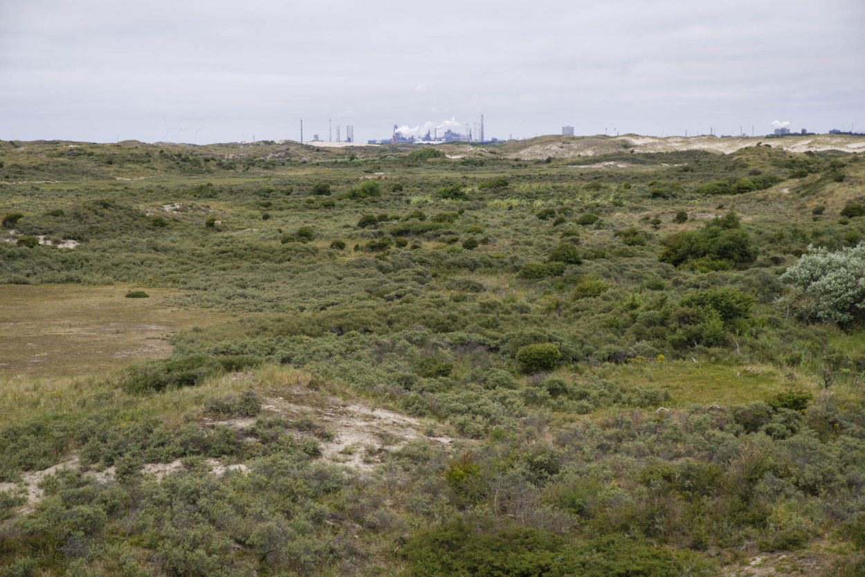 Полынно-типчаково-Ковыльная степь