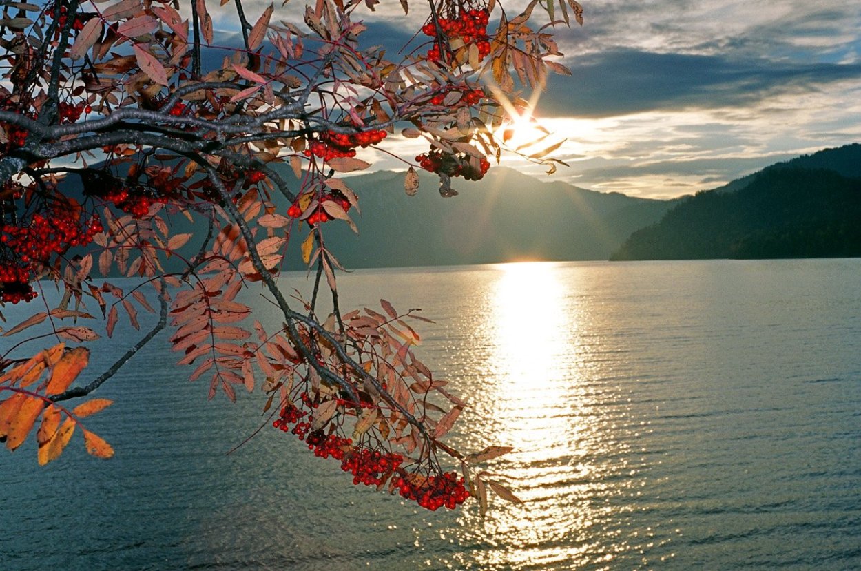 Кенай-Фьордс Аляска