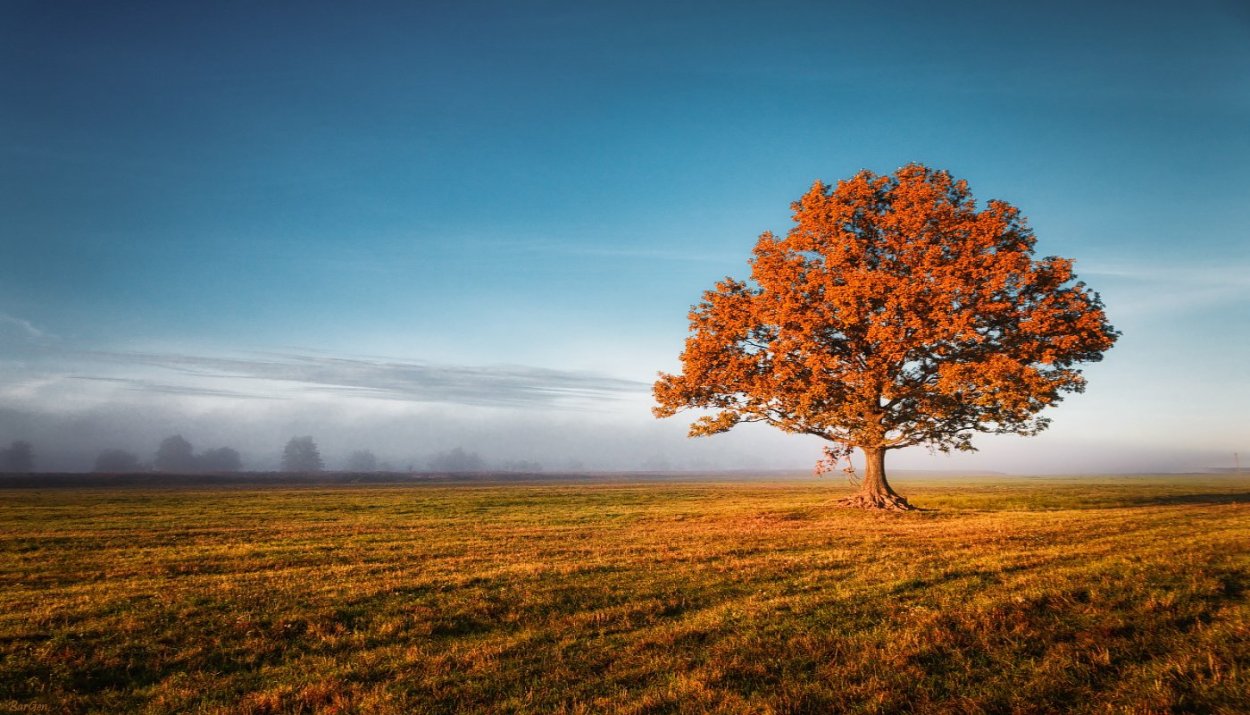 Телевизор Premier 32prm600 s