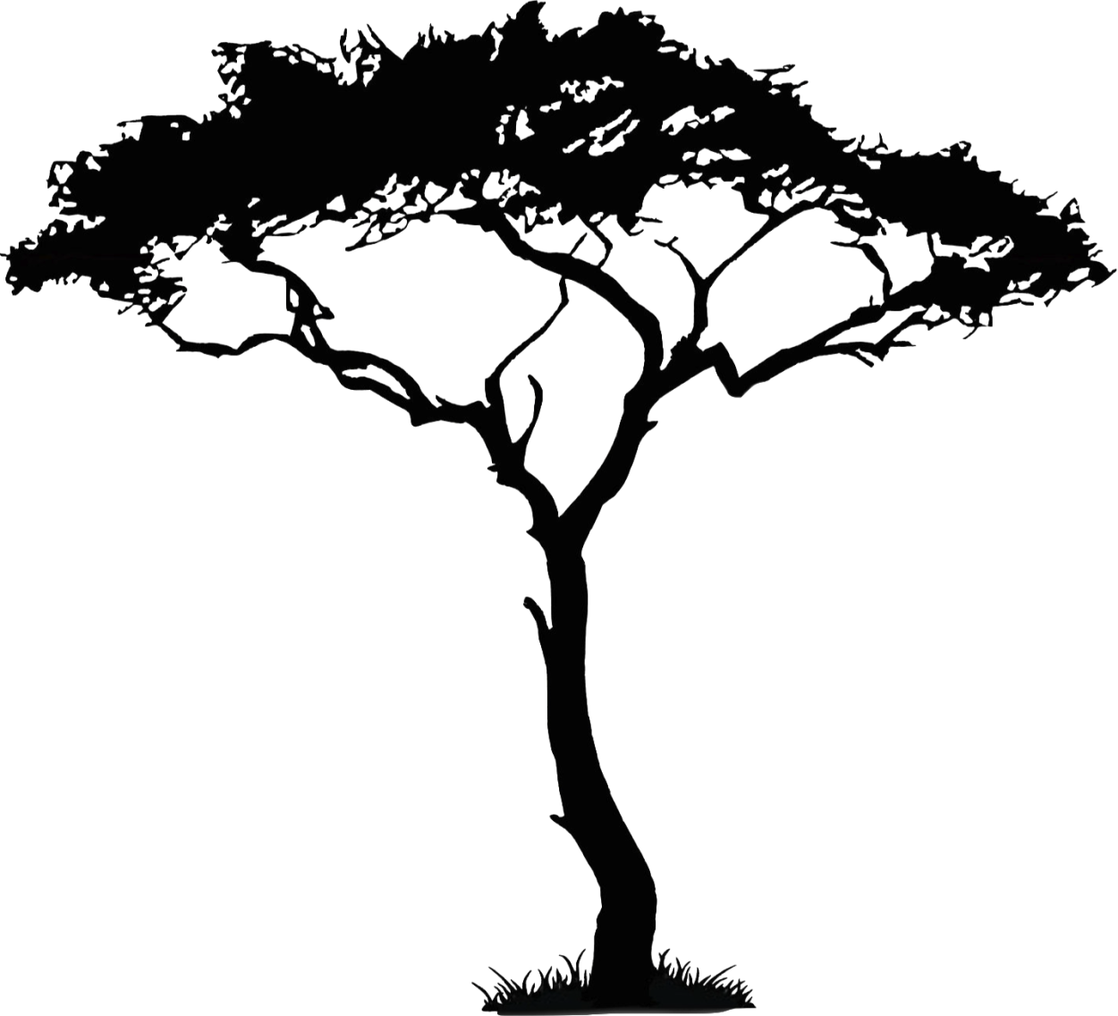 Силуэт дерева