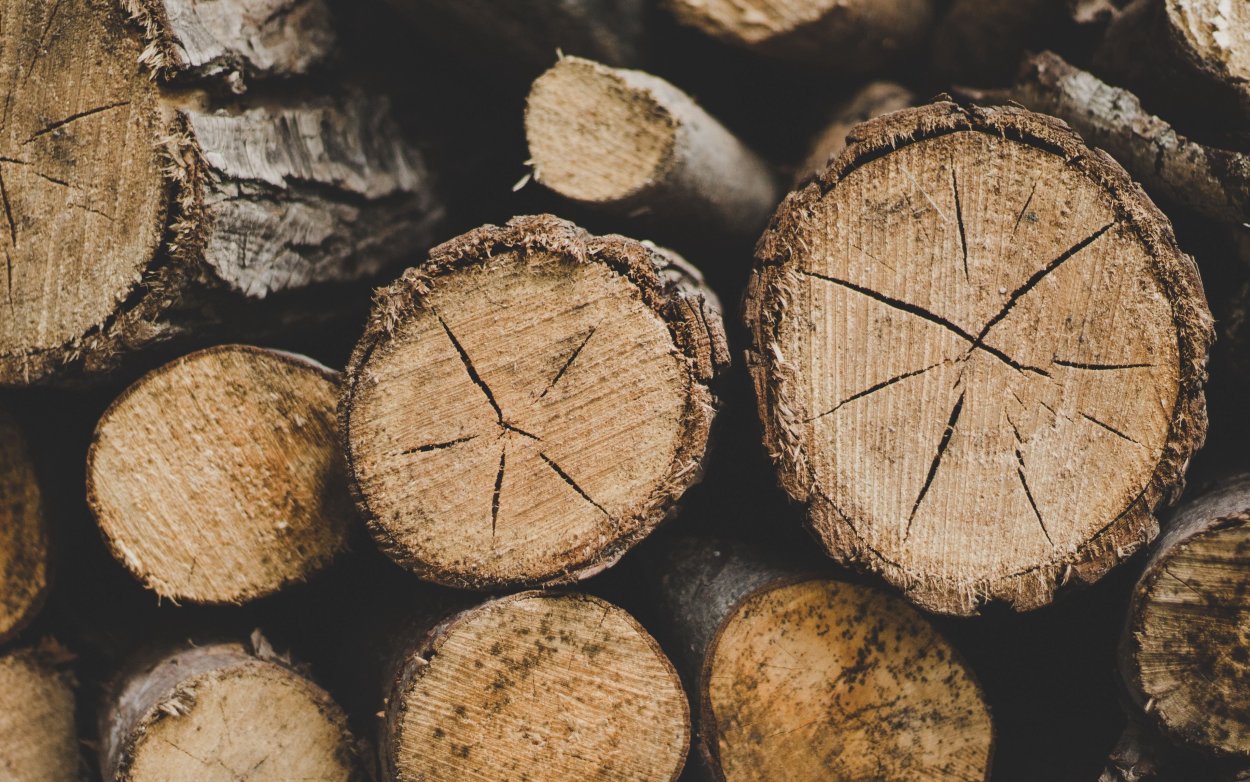 Дерево кругляк