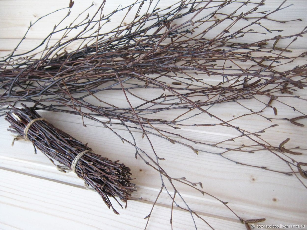 Березовые ветки для декора
