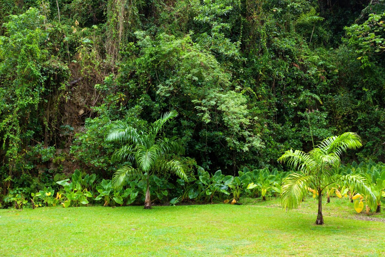 Значки для ландшафтного проектирования