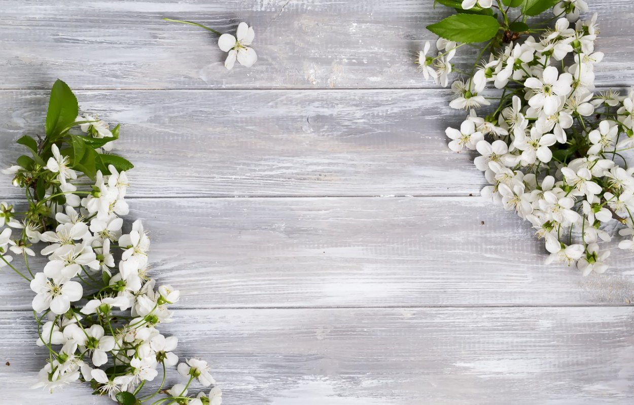 Поздняя Весна