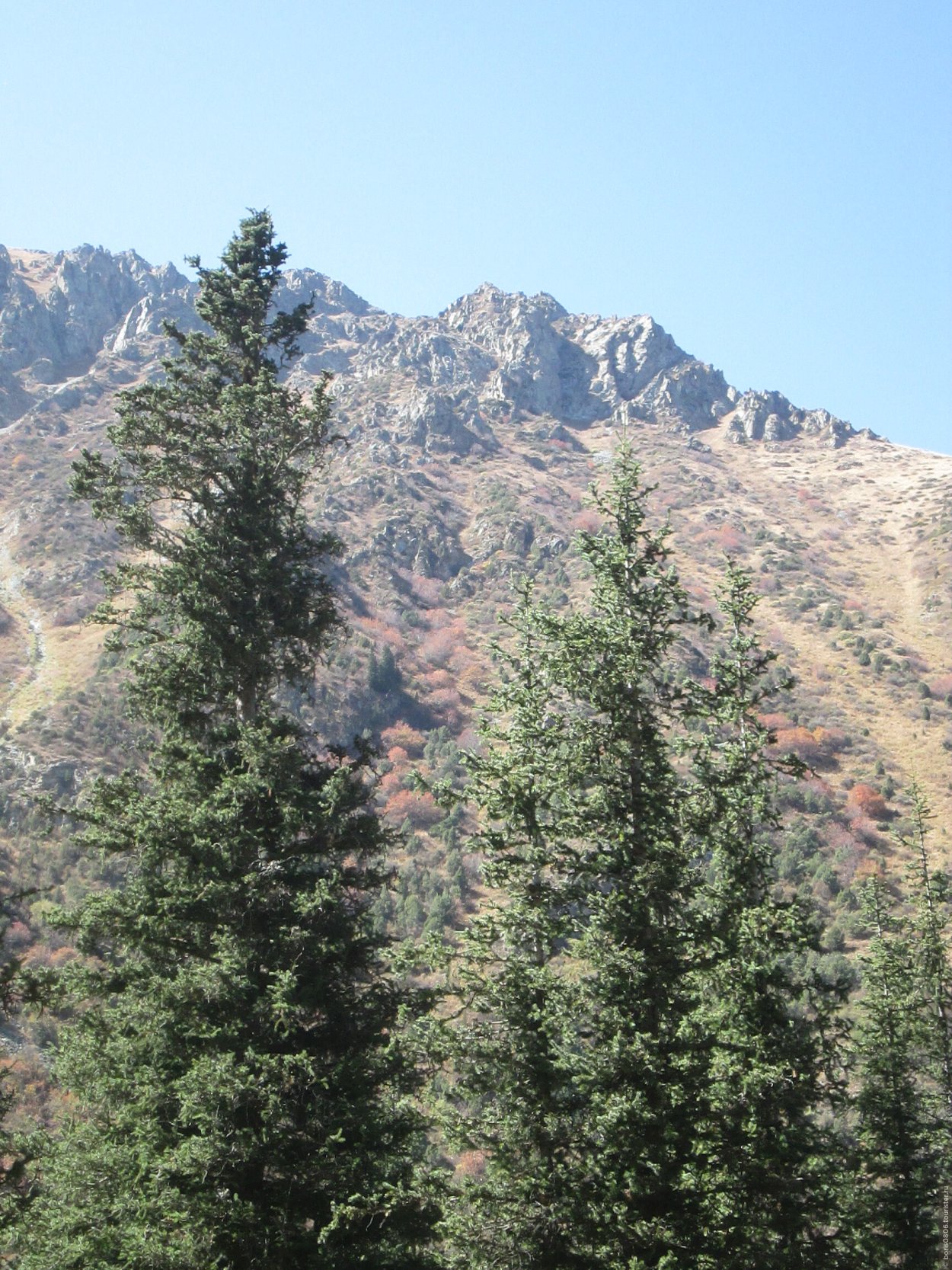 Национальный парк Секвойя генерал Шерман