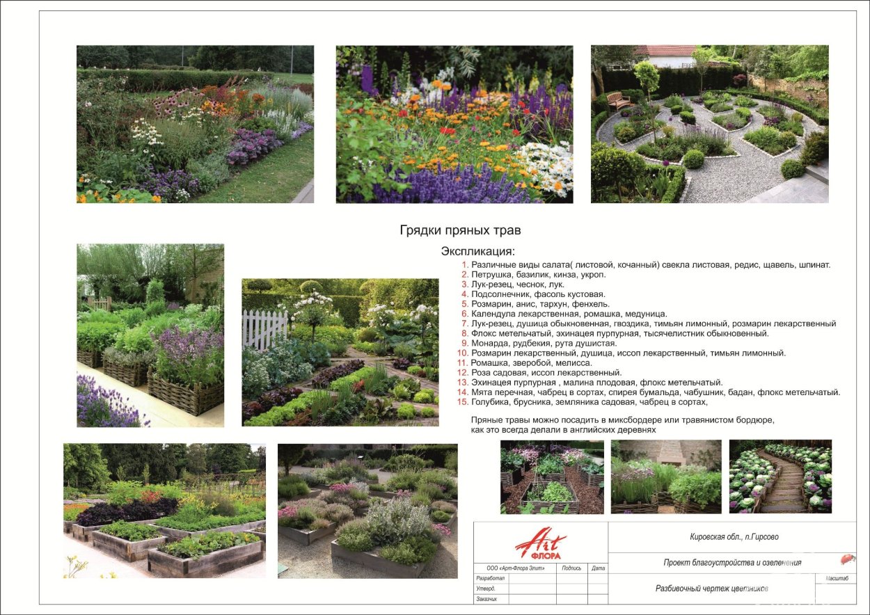 Схема миксбордера непрерывного цветения